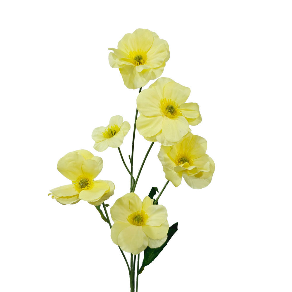 Faux Buttercup #FF19