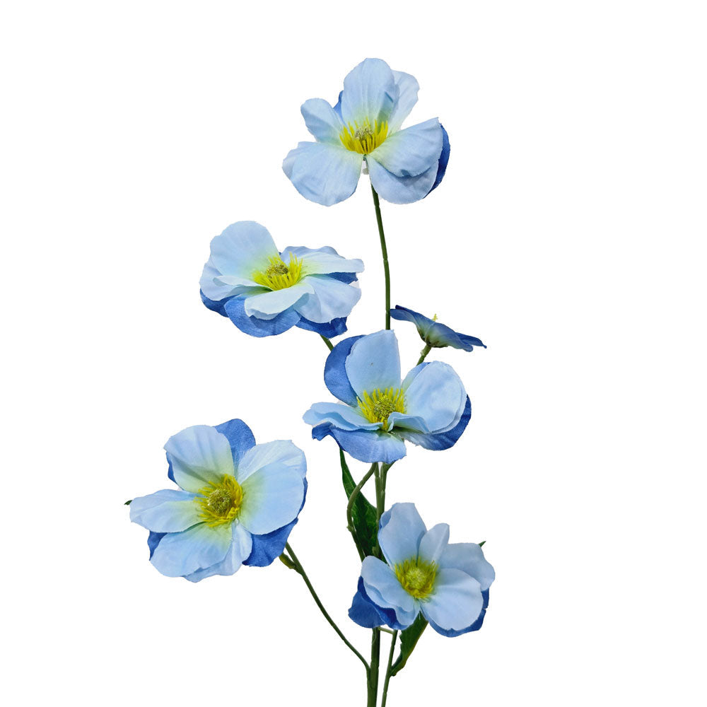 Faux Buttercup #FF19