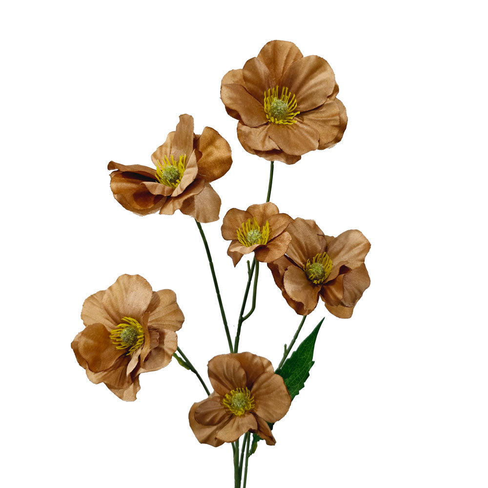 Faux Buttercup #FF19