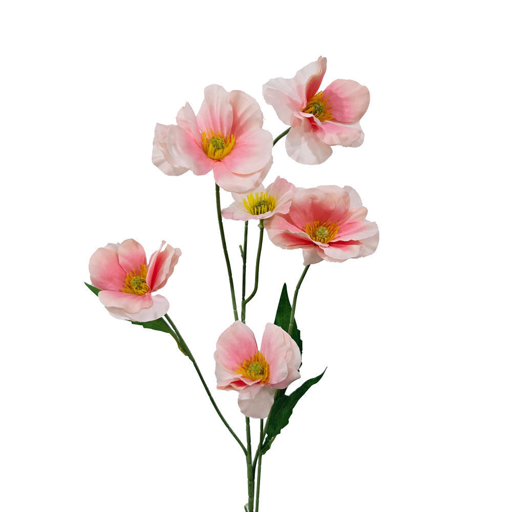 Faux Buttercup #FF19