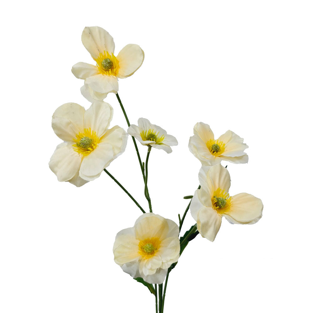 Faux Buttercup #FF19