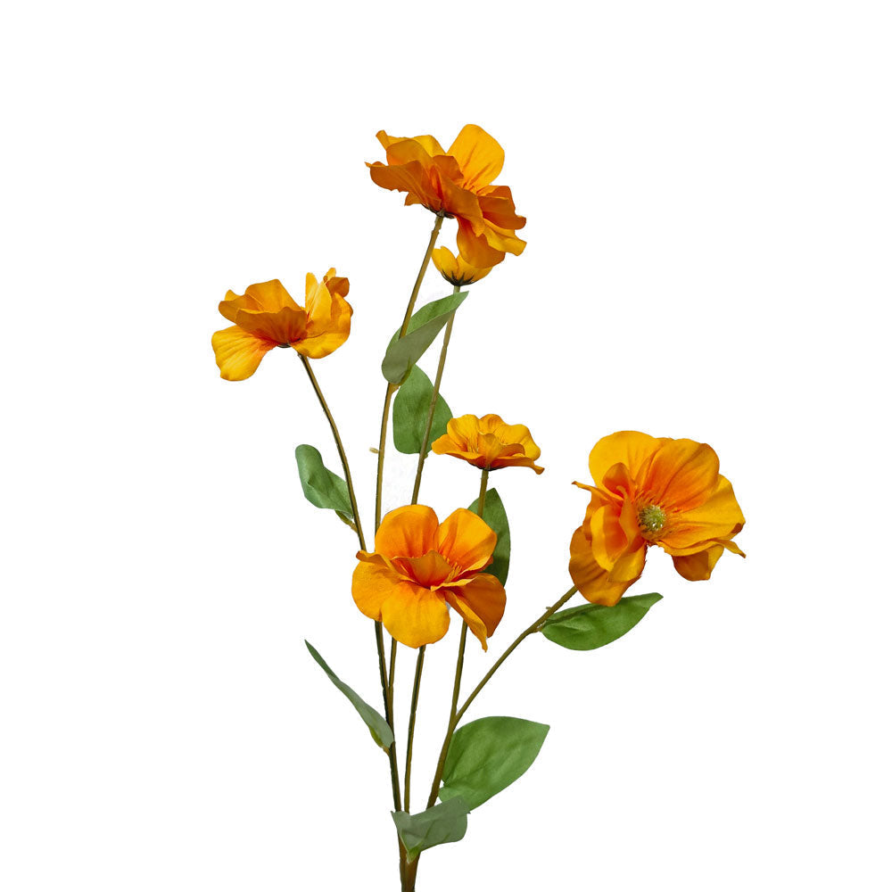 Faux Buttercup #FF19