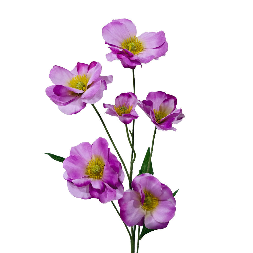 Faux Buttercup #FF19