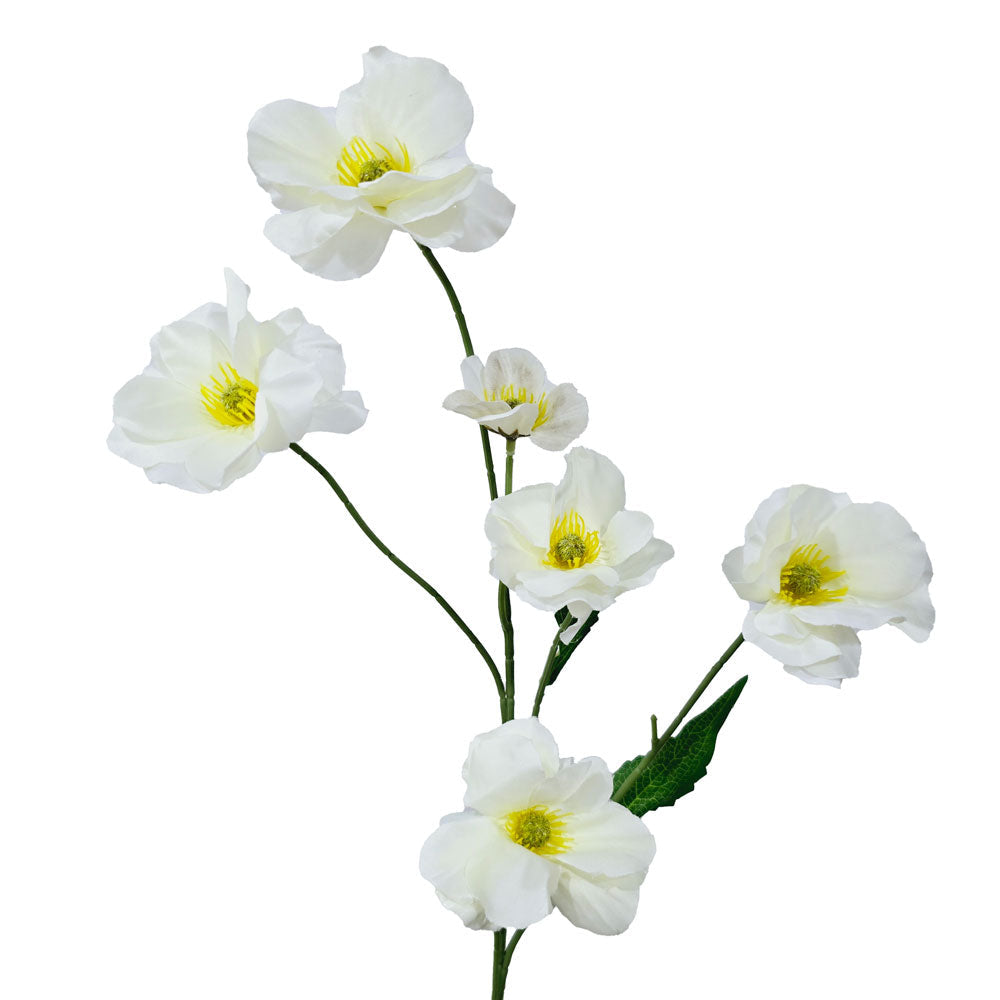 Faux Buttercup #FF19