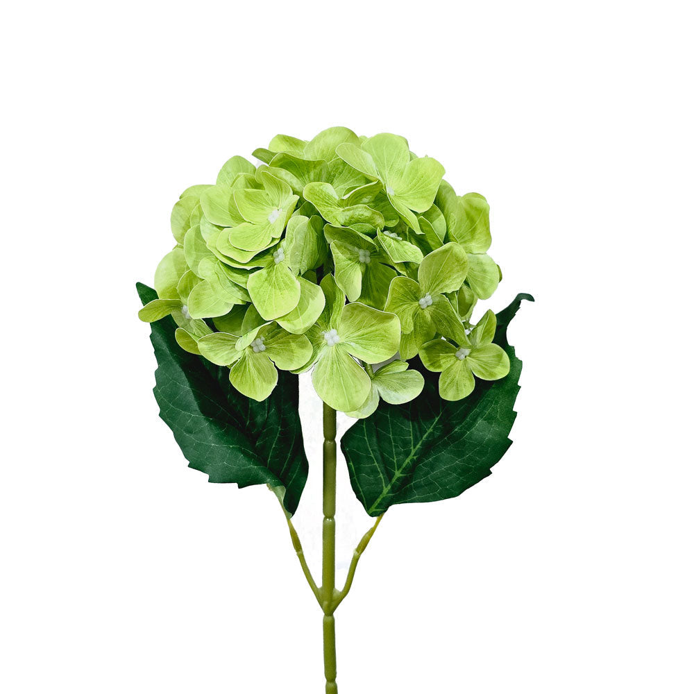Faux 3D Printing Single Hydrangea #FF41