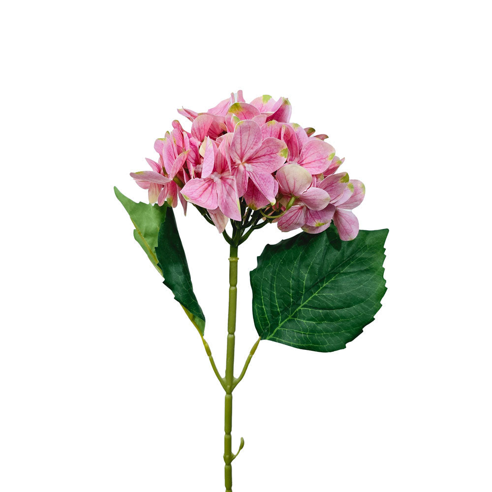 Faux 3D Printing Single Hydrangea #FF41