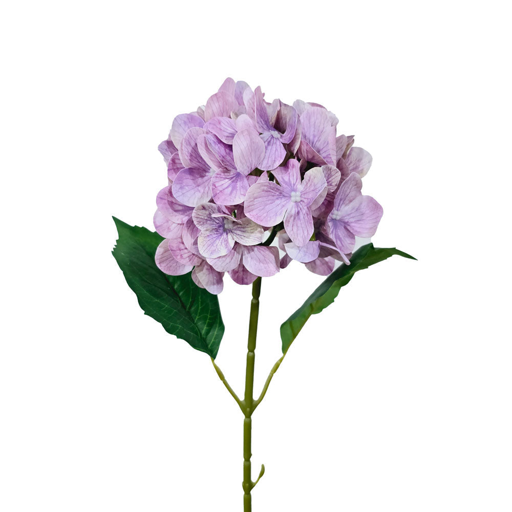 Faux 3D Printing Single Hydrangea #FF41
