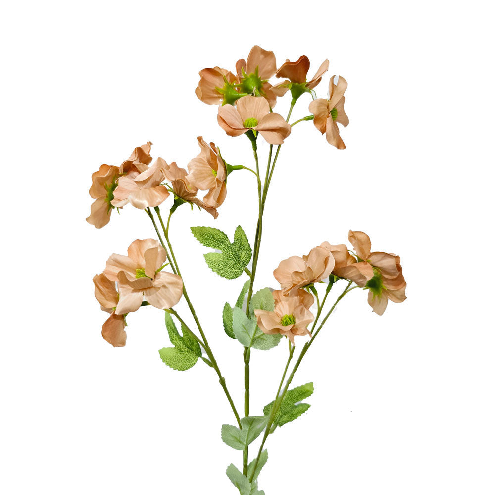 Faux Buttercup Bush #FF42