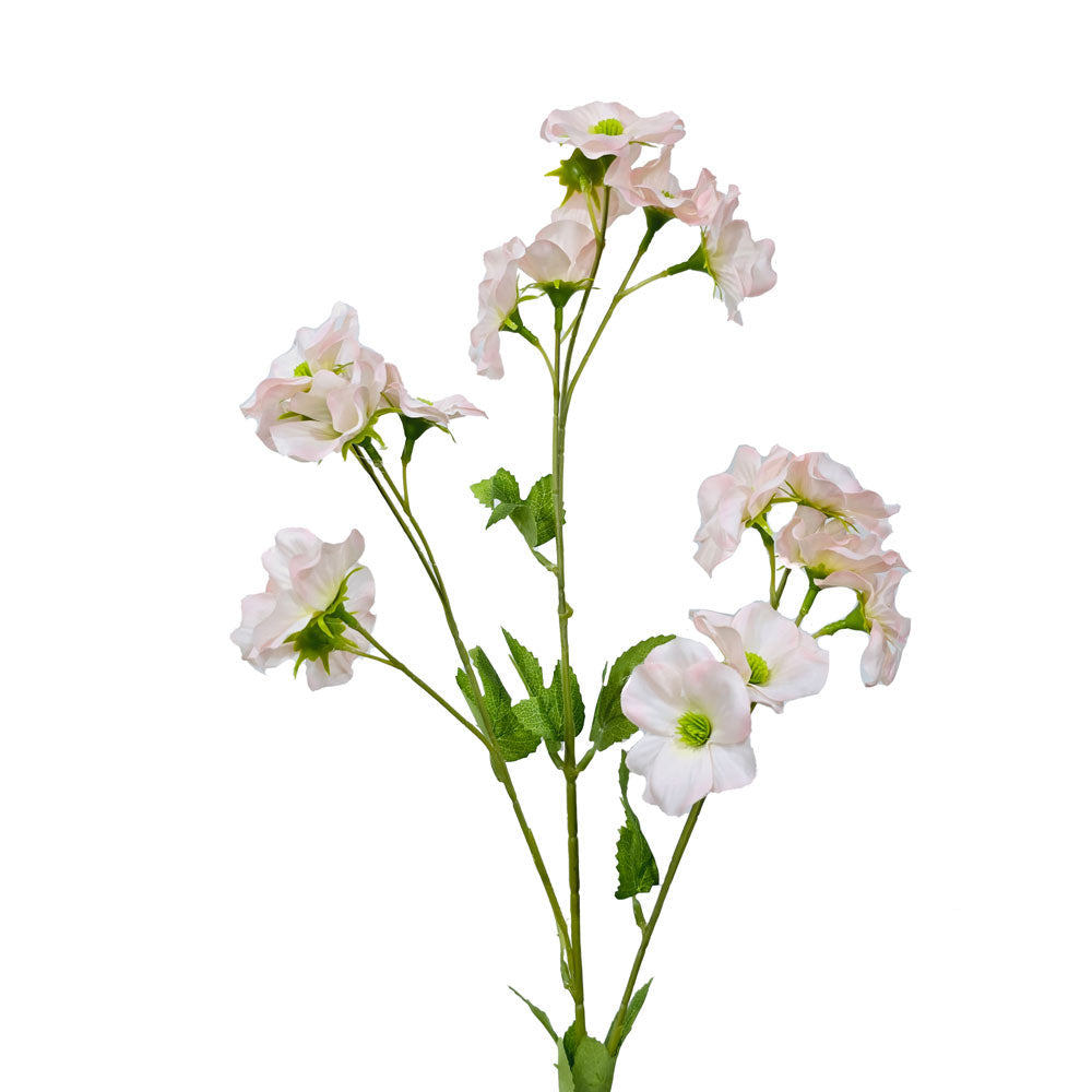 Faux Buttercup Bush #FF42