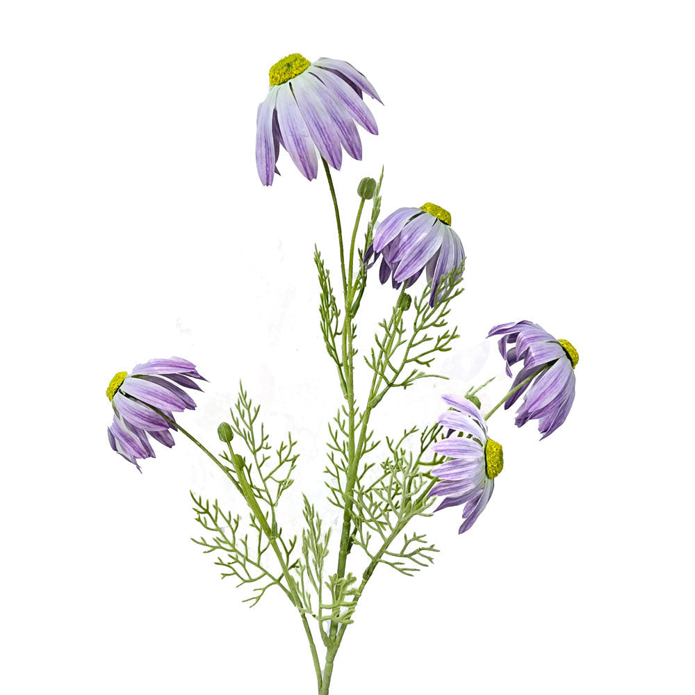 Faux Curly Daisy #FF53